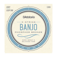 D'Addario EJ69 5-String Banjo Strings, Phosphor Bronze, Light, 9-20