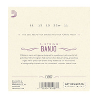 D'Addario EJS57 5-String Banjo Strings, Stainless Steel, Custom Medium, 11-22
