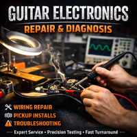 Guitar Electronics Repair & Diagnosis Service Melbourne