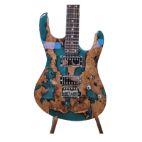 Galyda HH Electric Guitar Walnut Resin Top Tremolo Rosewood Fretboard