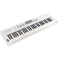 Roland GO KEYS5 61 Key Music Creation Keyboard in White