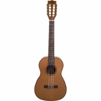 Kala KA-ABP8-CTG 8-String Baritone Ukulele W/ Transit case