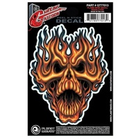 D'Addario Planet Waves Guitar Tattoo Decal Flame Whip Skull GT77013 New