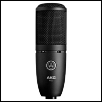 AKG P120 Perception 120 Mic Recording Condenser Microphone