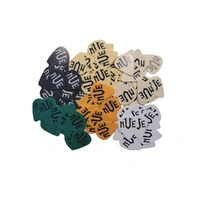 NVE 100 Mixed Picks for Acoustic or Electric Guitar Picks