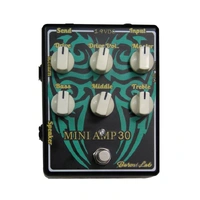 Baroni Labs Miniamp 30 - 30W Class D amp