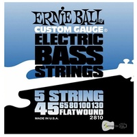 Ernie Ball 2810 Flatwound 5-String Bass Guita Strings Set 45 - 130  
