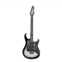 Peavey Raptor Custom Series Electric Guitar - Silver Burst
