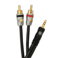 D'Addario Dual RCA to Stereo Mini Cable, 5 feet