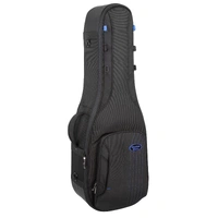 Reunion Blues Expedition Double Electric Guitar Case