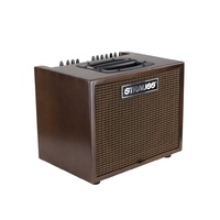 Strauss 60 Watt Acoustic Guitar Amplifier Combo with Effects (Walnut)