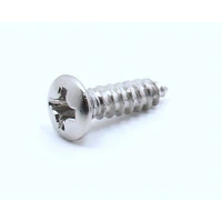 Big Bang Tone Standard Pickguard Screws - Chrome (12)