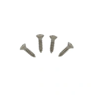 TV Jones Gretsch Bezel Screws Stainless pack of 4