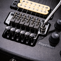 Floyd Rose Setup Service - Melbourne