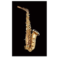 Schagerl Superior Model Alto Saxophone High F# with Delux case