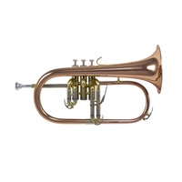 Schagerl Bb Flugelhorn - Intermediate Rose Brass Bell and leadpipe