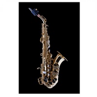 Schagerl Superior 1L Curved Bb Soprano Saxophone ƒ?? Lacquered finish