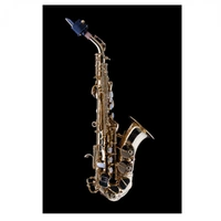 Schagerl Superior 1L Curved Bb Soprano Saxophone ƒ?? Lacquered finish