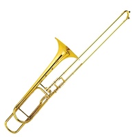 Steinhoff TB1 Student Bb/F Tenor Trombone (Gold) - 3 Year Warranty