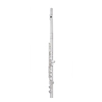 Trevor James Cantabile Flute B Foot Solid Silver Head Closed Holes