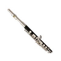 TREVOR JAMES VIVACE BY KURIOSHI PICCOLO Silver Plated 