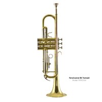 Trevor James Renaissance TJTR2500 Bb Trumpet, Gold Lacquer
