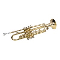 Steinhoff TR5 Student Bb Trumpet Gold Lacquer- with Case 3 year warranty