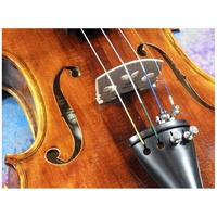 A fine European made 4/4 violin Academy V-250 Model Thomastik Strings Pro Setup