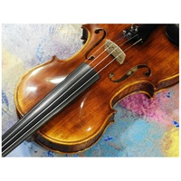 A fine European made 4/4 violin Academy V-250 Model Thomastik Strings