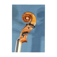 HORA V300 4/4 Symphony Professional Violin Made In Romania Jargar Strings