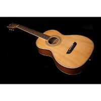 Washburn WP11SNS-D-U Parlor Acoustic Guitar