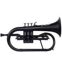 ZO Plastic Next generation Bb Flugelhorn Empire Black Finish