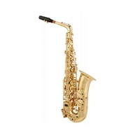 Suzuki Alto Saxophone Outfit ƒ?? Master Class Series With Flight Case