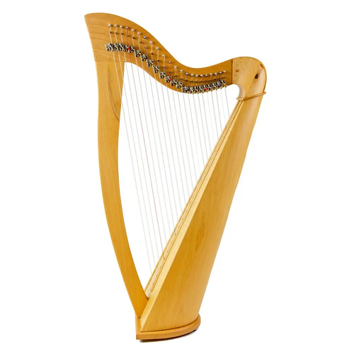 Folk Harp – 22 String Plain Sides – Round Back w/Bag