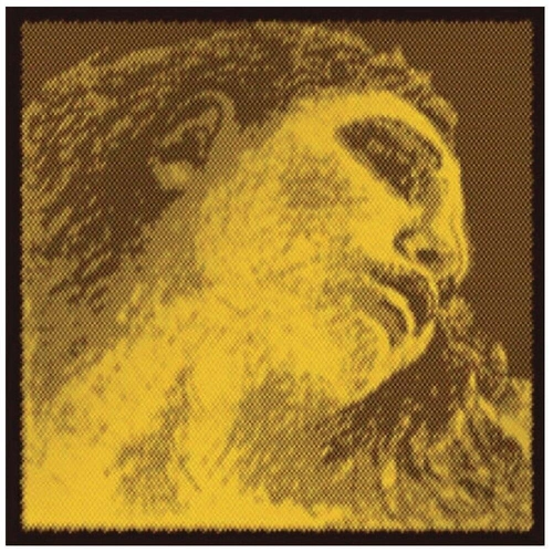 Pirastro 4/4 Violin Evah Pirazzi Gold Medium Gauge E String - Ball End