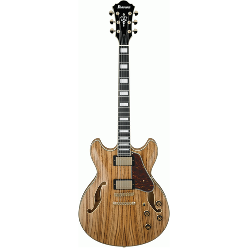 IBANEZ AS93ZW NT EL.GUITAR
