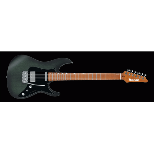 IBANEZ EH10 TGM ERICK HANSEL SIGNATURE