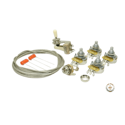 Big Bang Tone Custom Wiring Upgrade Kit for 335 Guitars Mini CTS Pots
