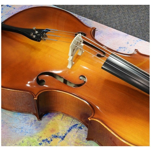Fine Hand Carved European 4 4 Cello Advance Elite by Hora Setup