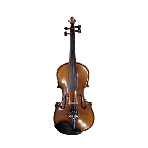 Reichel Violins 1/4 Student Violin Model Etude Outfit  Hand Carved Solid wood