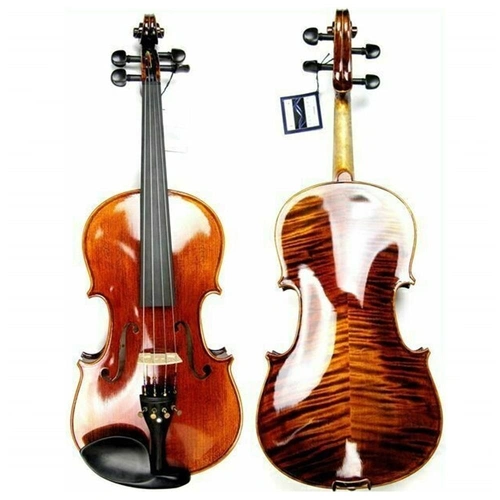 Reichel Violas Meister 15" Oil Varnished Viola Aubert Deluxe Bridge Helicore 