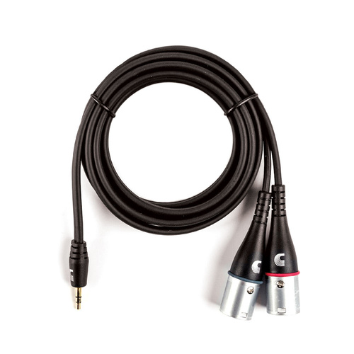 D'Addario Custom Series 1/8 Stereo Male to Dual  XLR Audio Cable