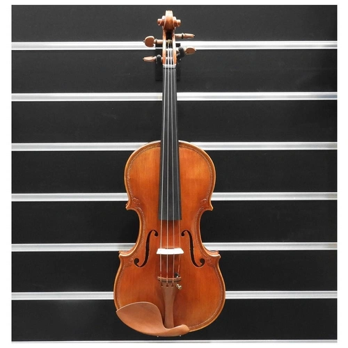 Violin 4/4 - Sandner  Special Artist Series  - Outfit Set up