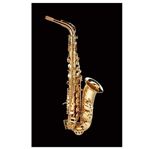 Schagerl Superior Model Alto Saxophone High F# with Deluxe case