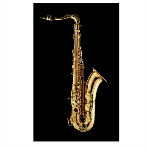 Schagerl Superior Model Tenor  Saxophone High F# with Deluxe Trekking  case