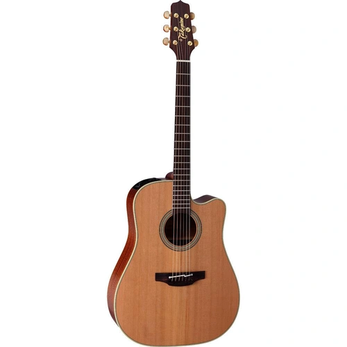 Takamine TEN10C Natural Series Dreadnought AC/EL Guitar with Cutaway