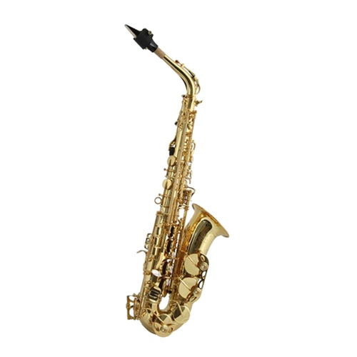 Trevor James SR Series Alto Saxophone Gold Lacquer Protech Case BG Ligature